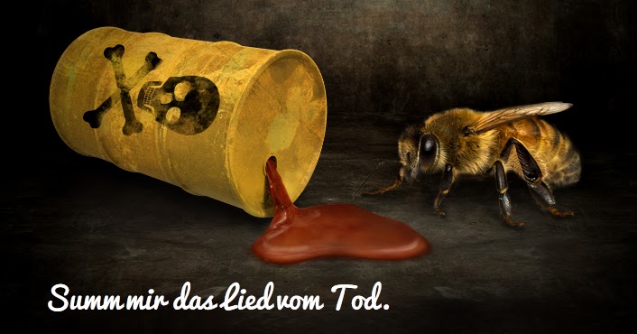 Die Parasiten der Lachsfische gefährlich für den Menschen